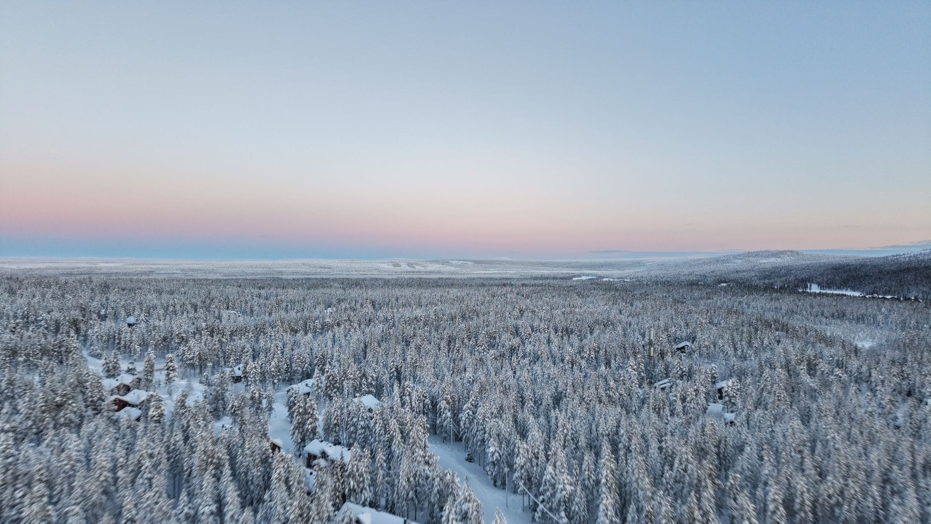 Snødekt arktisk skog som strekker seg mot horisonten i blåtimen