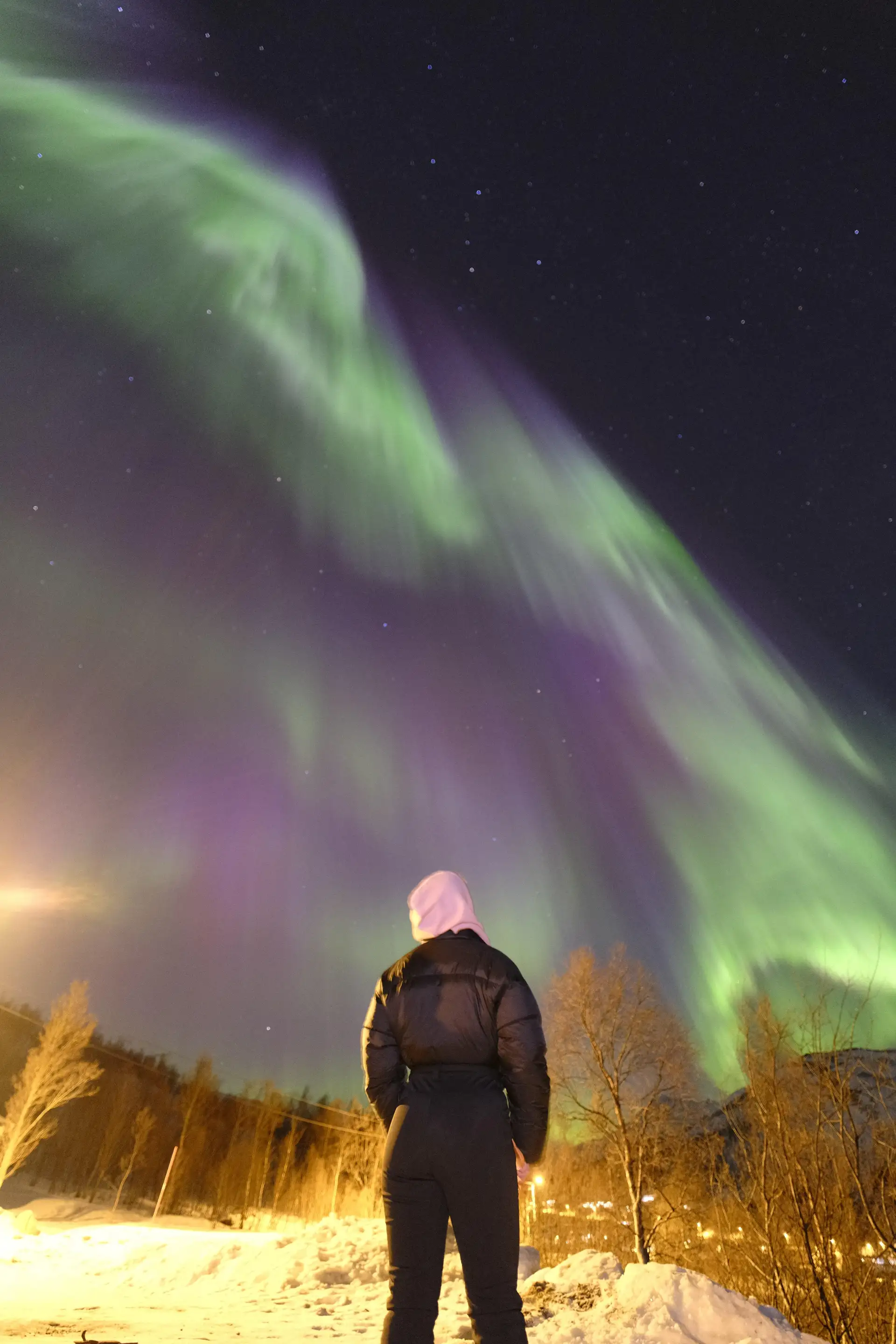 En gjest i vinterdress ser på grønt og fiolett nordlys over rimdekte bjørketrær