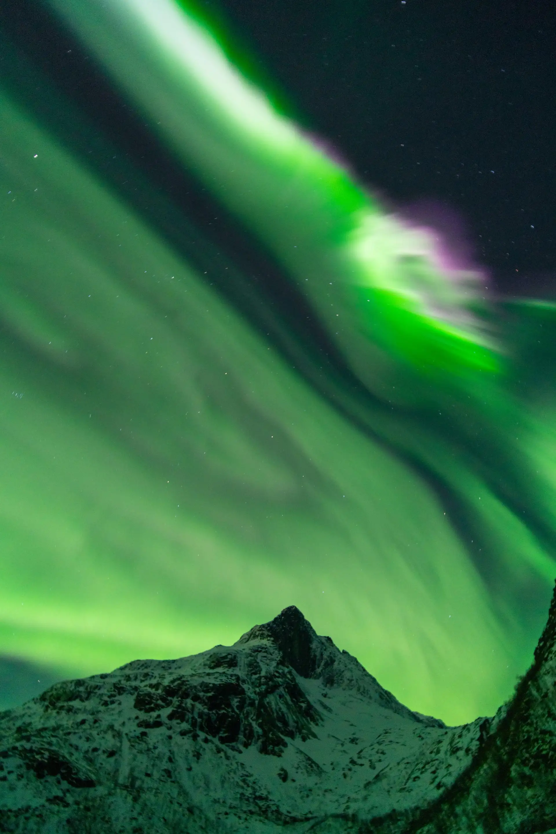 Grønt og fiolett nordlys som fyller nattehimmelen